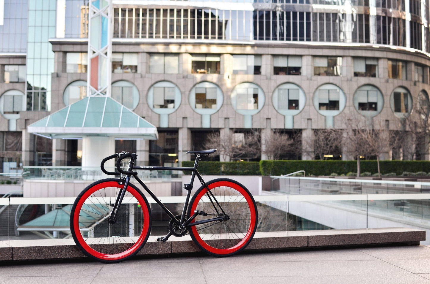 Echo - jameswhite001