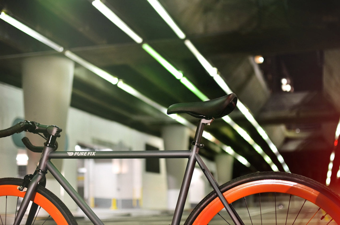 Papa - jameswhite001