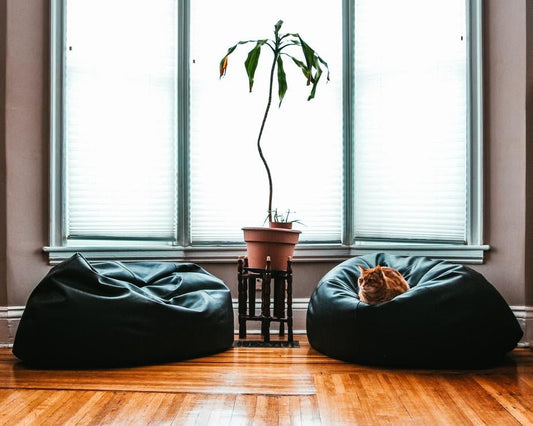 Black Beanbag - jameswhite001