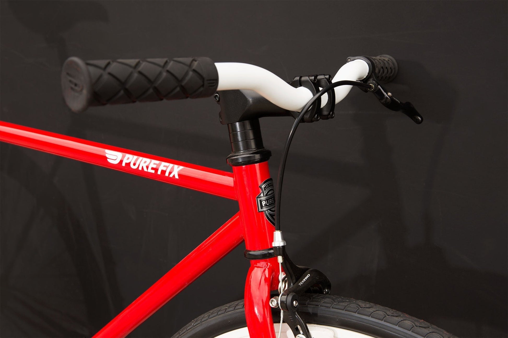 Charlie - jameswhite001