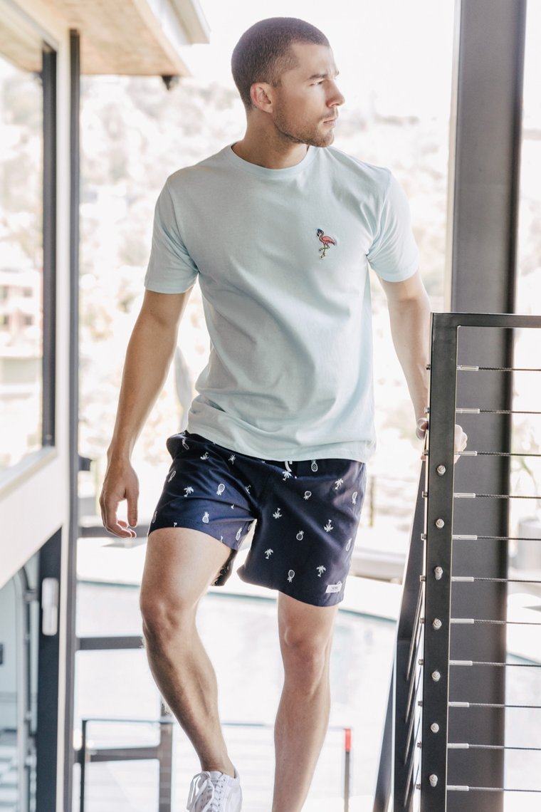 Flamingo Short Sleeve Tee - Blue - jameswhite001