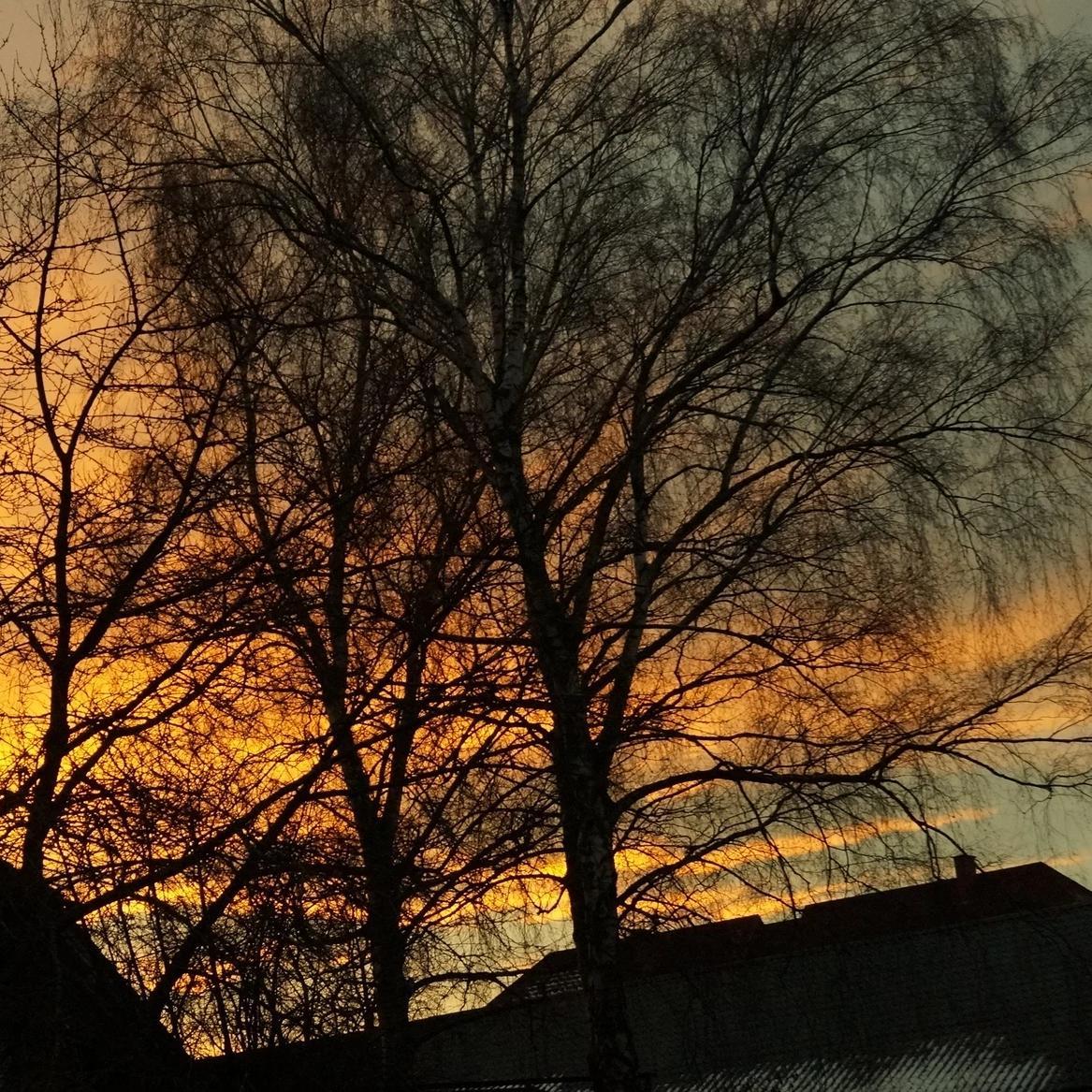 IPhone XR - jameswhite001