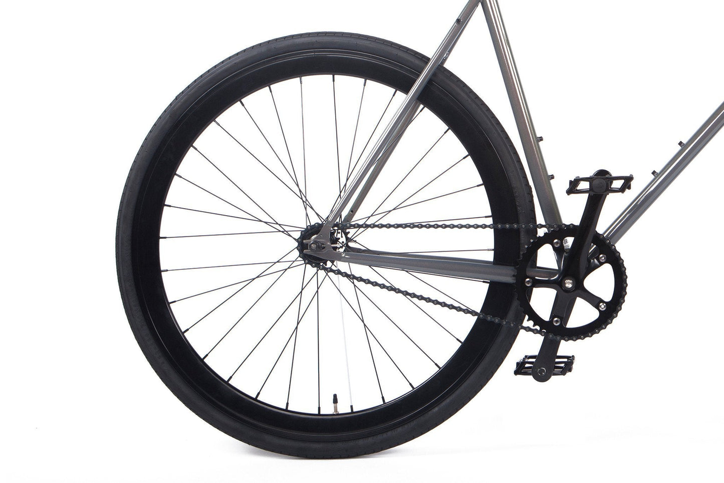 Iris - jameswhite001