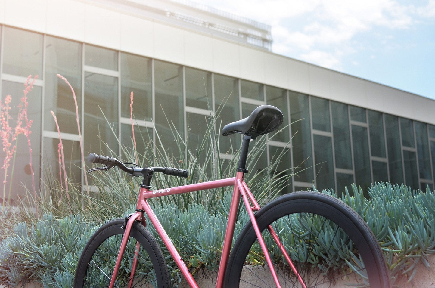 Lima - jameswhite001