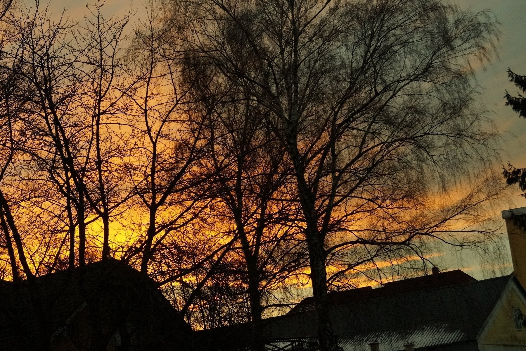 Maverick - jameswhite001