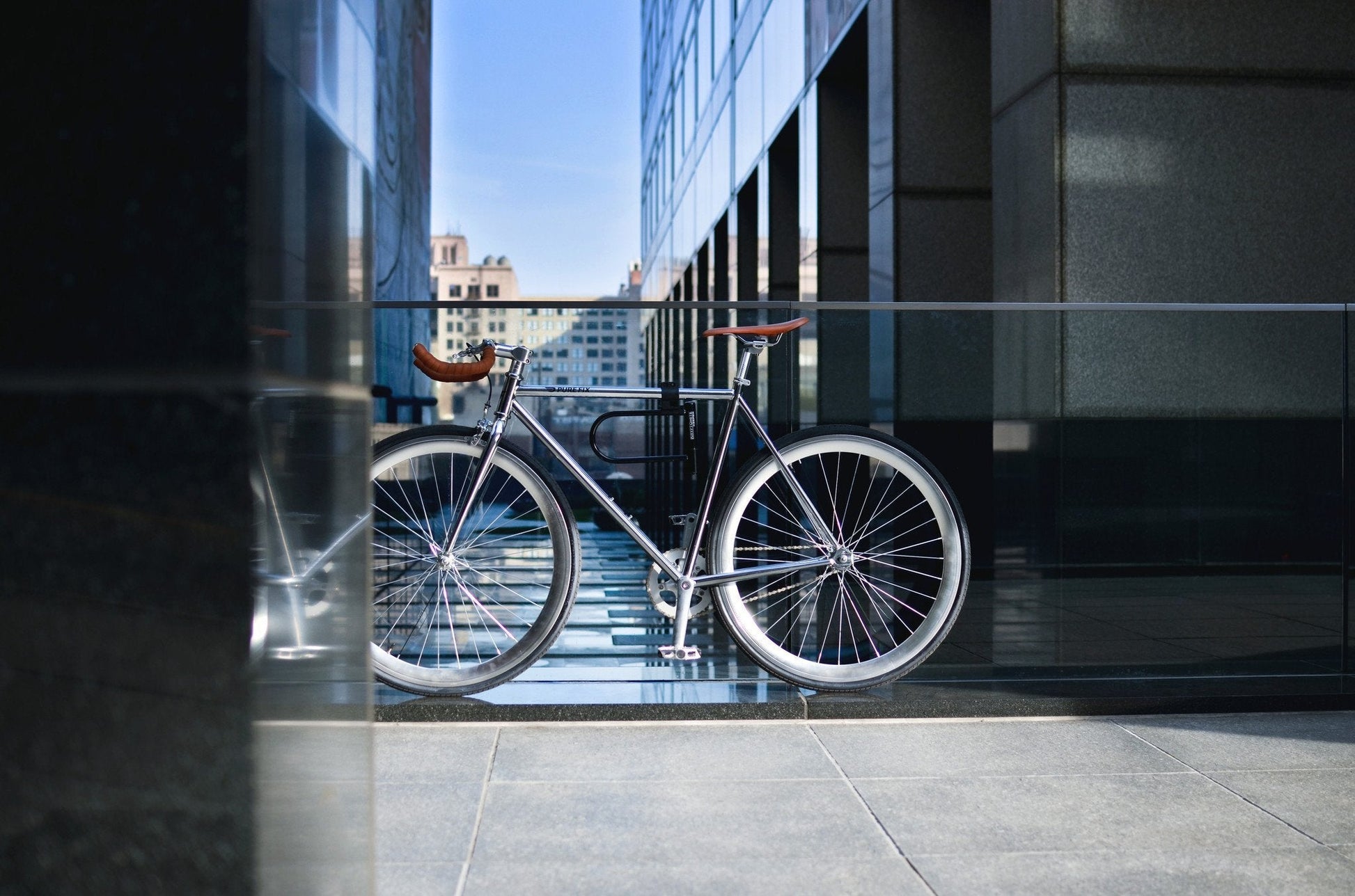 Oscar - jameswhite001