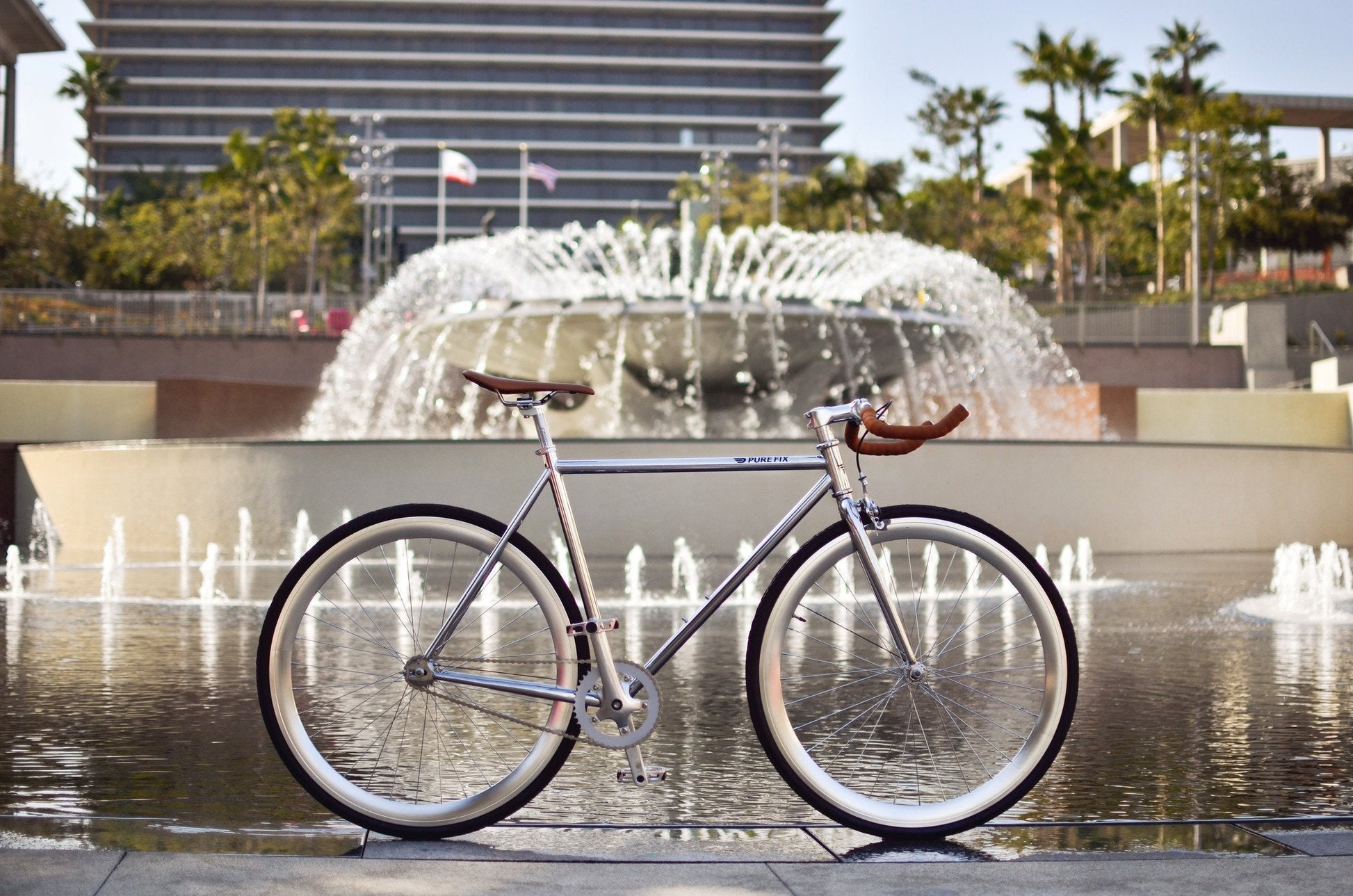 Oscar - jameswhite001