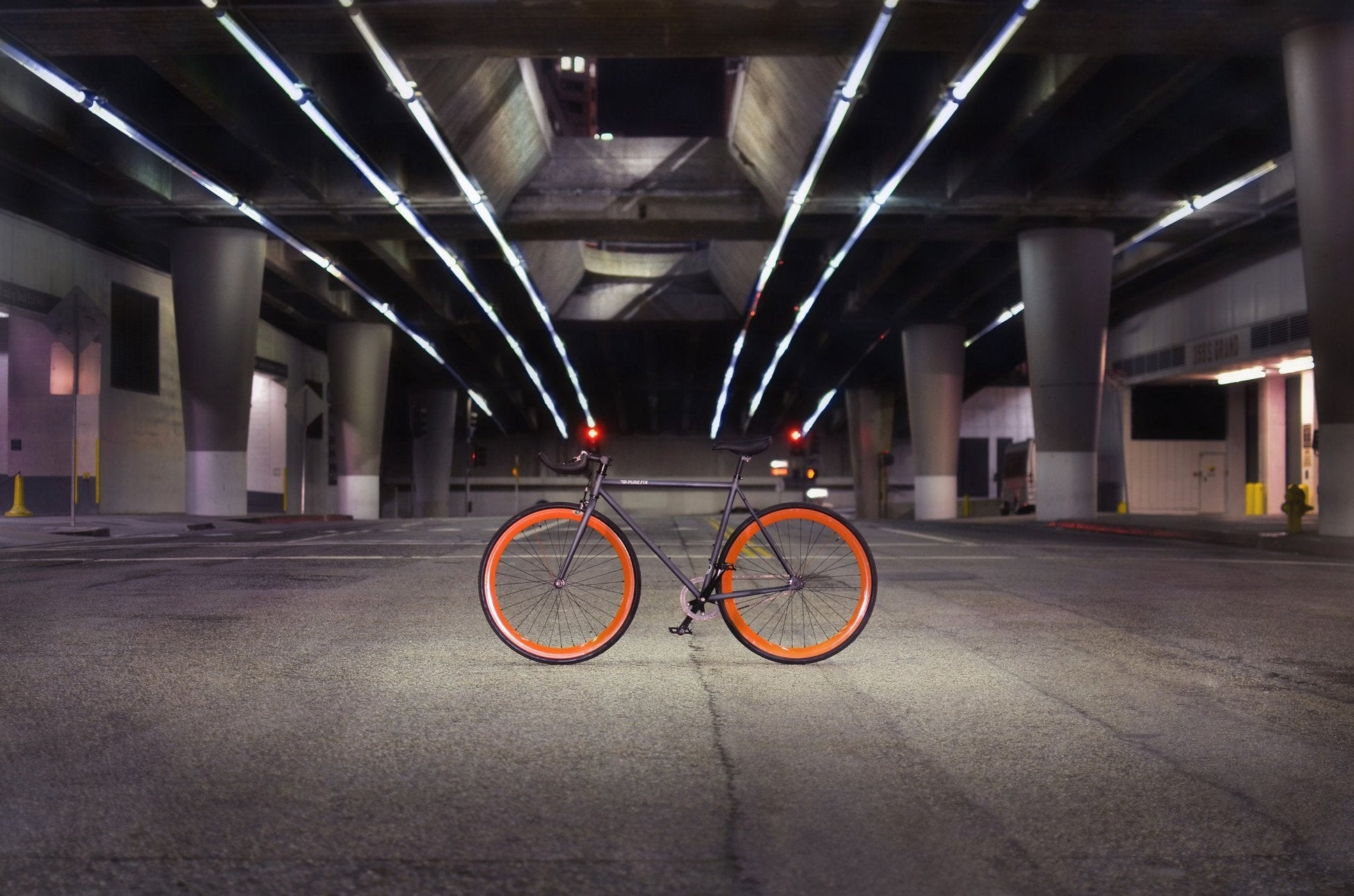 Papa - jameswhite001