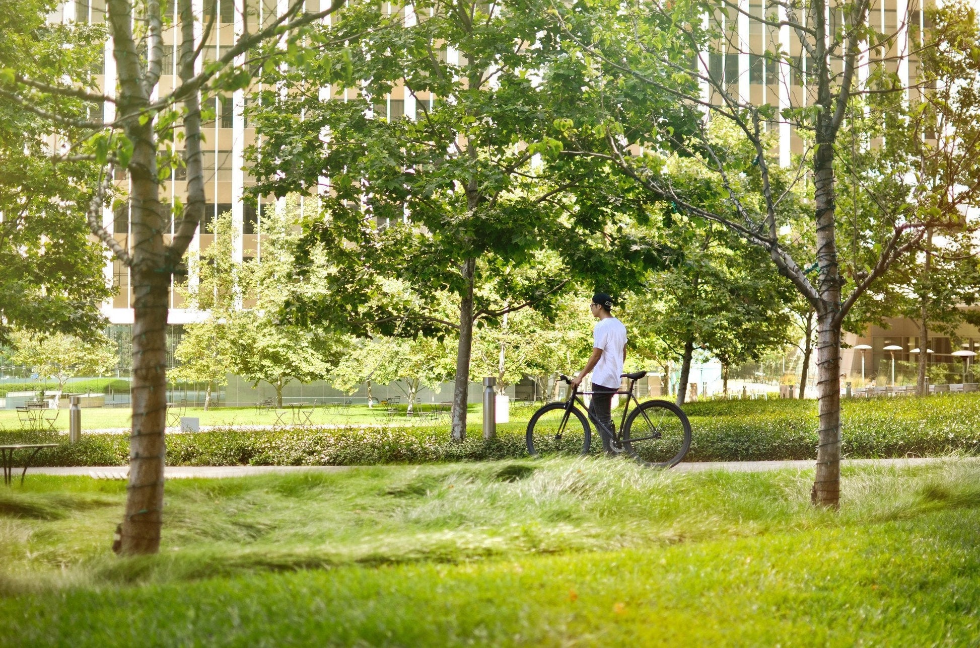 Siva Juliet - jameswhite001