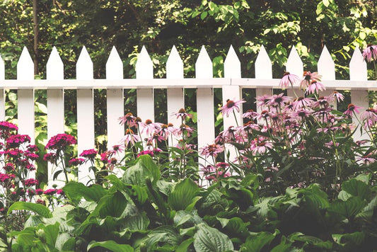Wooden Fence - jameswhite001
