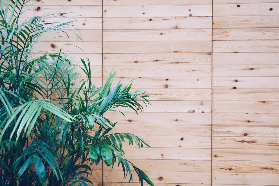 Wooden outdoor slats - jameswhite001