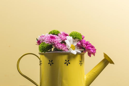 Yellow watering can - jameswhite001
